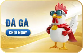 TRANG CHỦ 31 Cover đá gà hấp dẫn